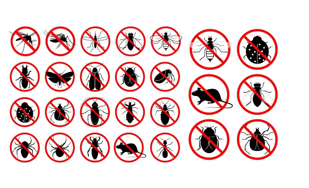 Extermination des nuisibles à Rosny-sur-Seine