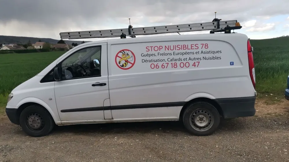 Stop nuisibles 78  (7)